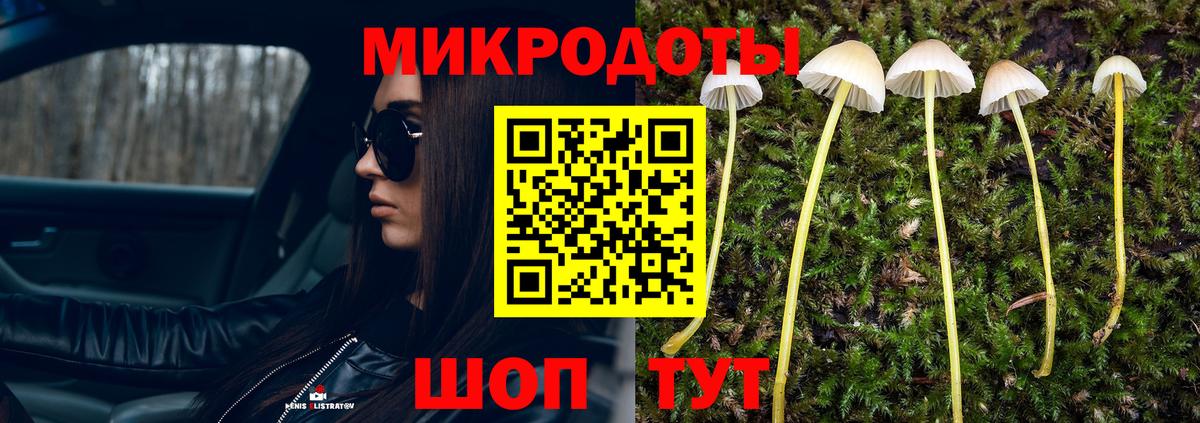 Котовск  Псилоцибиновые грибы Psilocybine cubensis  Вход с VPN 