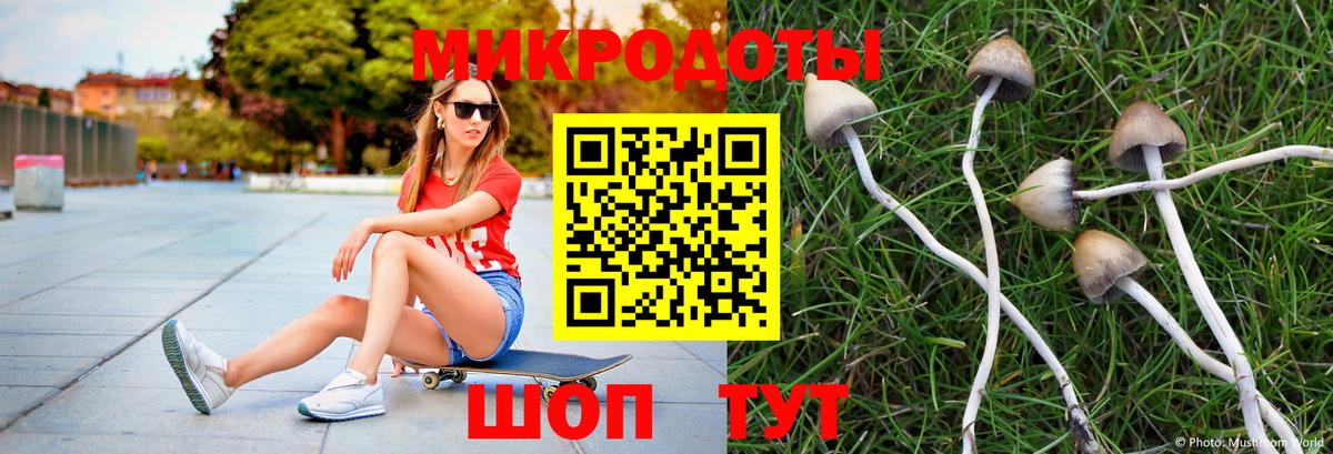 Галлюциногенные грибы Cubensis Котовск